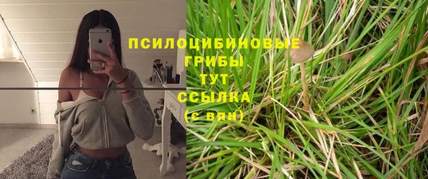 мяу мяу мука Белоозёрский