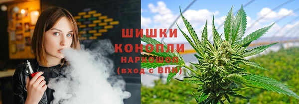 первитин Богородицк