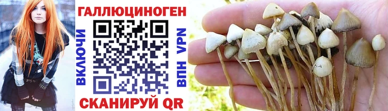 Галлюциногенные грибы мухоморы Богородск