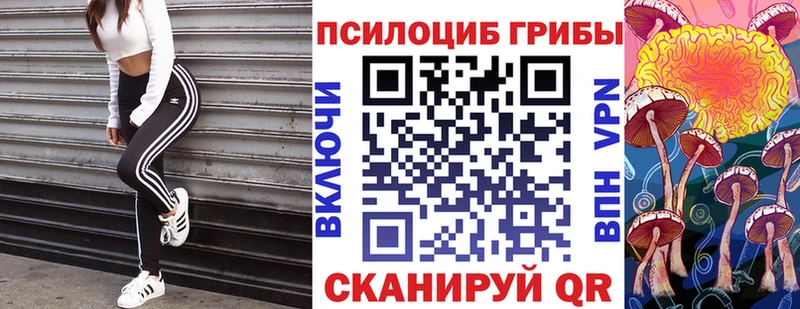 ссылка на мегу как зайти  Богородск  Псилоцибиновые грибы GOLDEN TEACHER  как найти закладки 