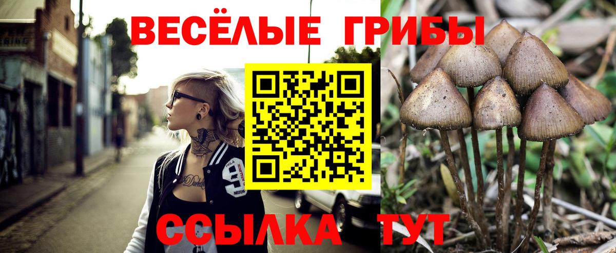 Псилоцибиновые грибы прущие грибы  как найти закладки  Галлюциногенные грибы GOLDEN TEACHER  Богородск  Вход с VPN 