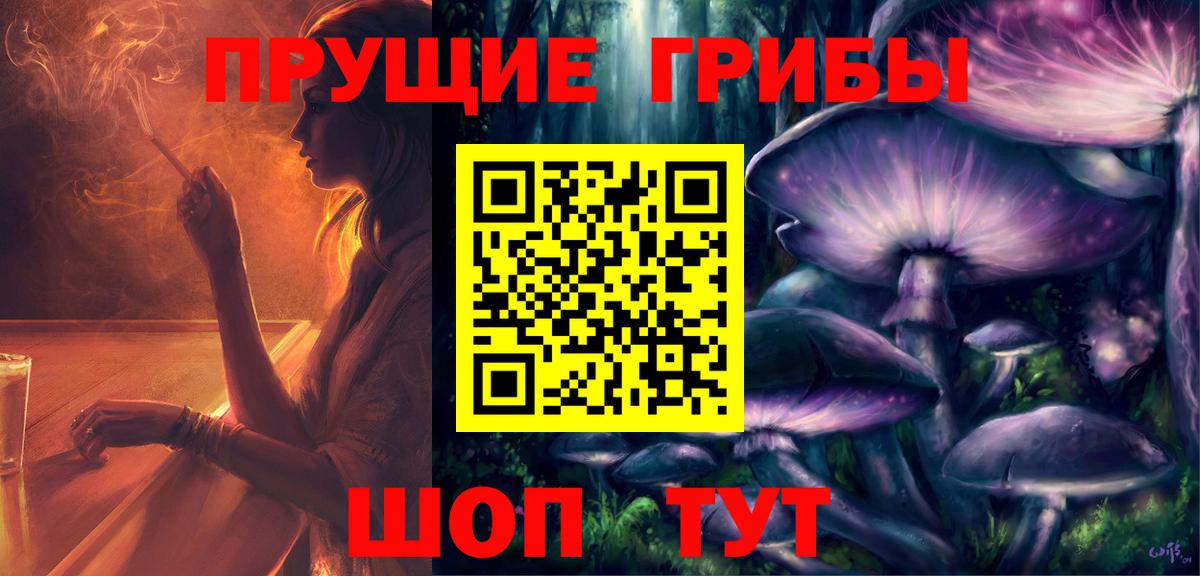 Псилоцибиновые грибы Psilocybe Богородск
